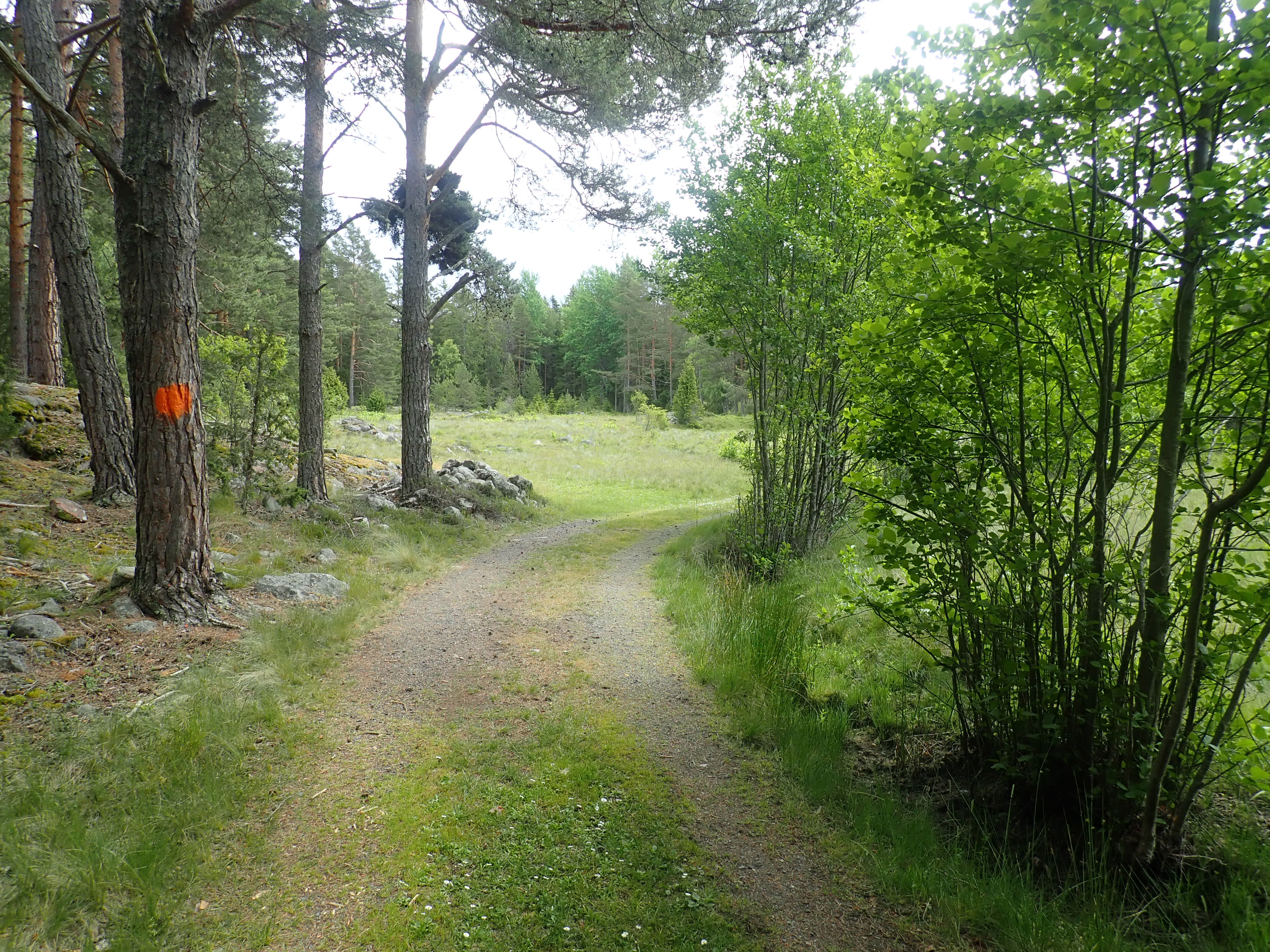 Vindåsen/Hulöhamn