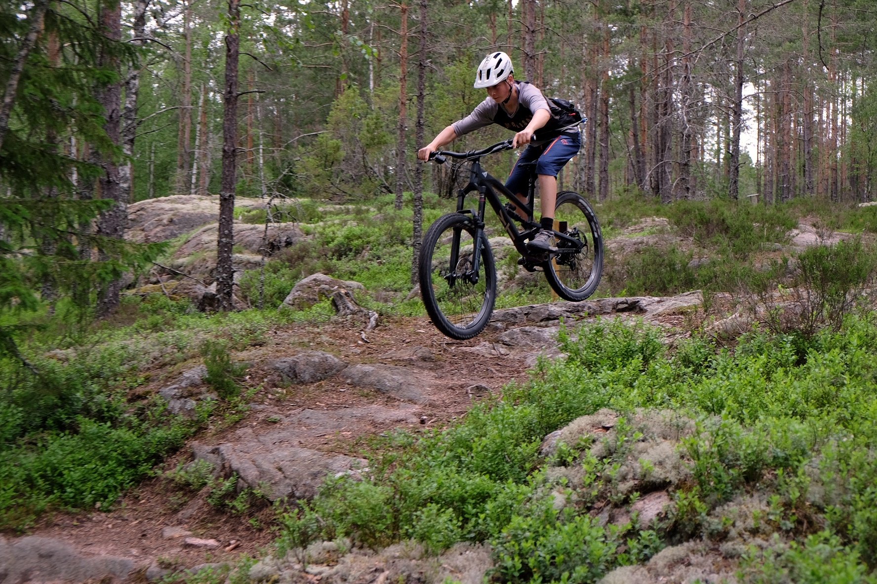 Surahammar — Lindmuren mountain biking trails, 4 routes totalling 12.1 km (MTB Red)