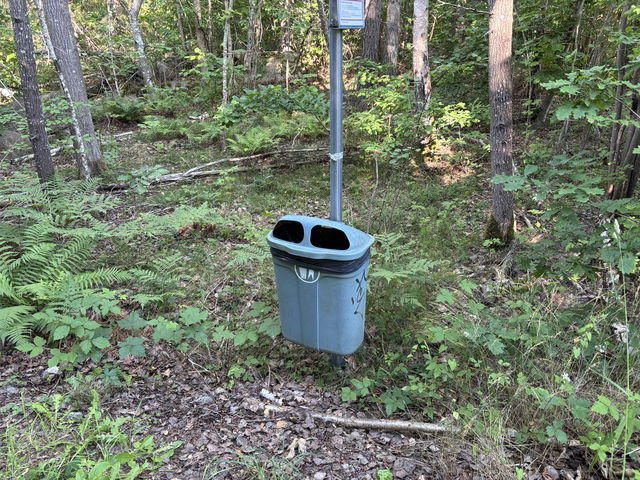 Trash Bin, Alsterån