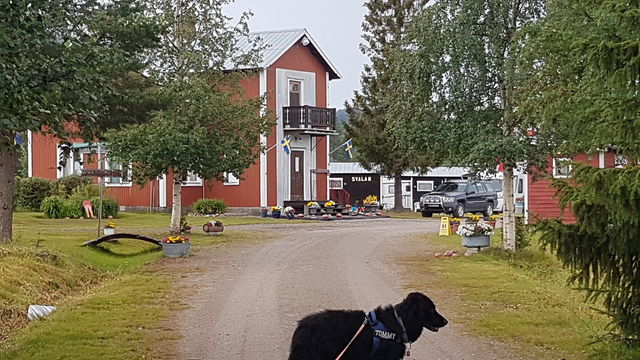 Sjöstjärnans Camping