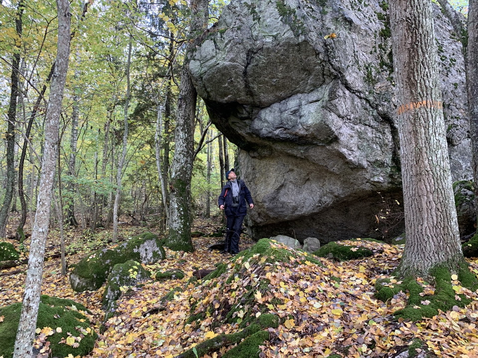 Jätteblock längs vandringsleden i Hasselhorn. 