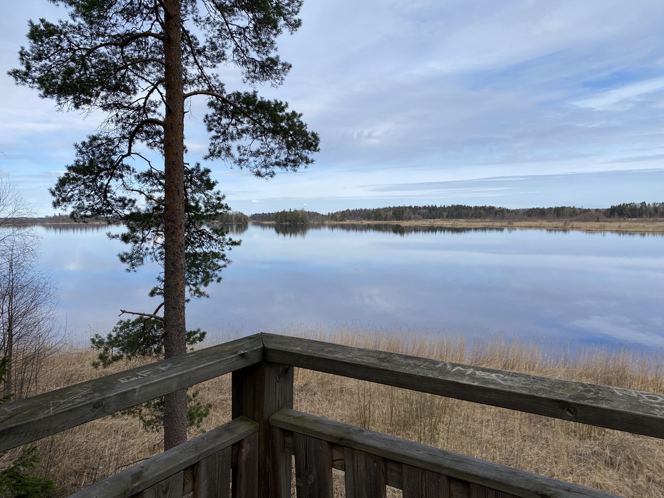 Utsikt från fågeltornet