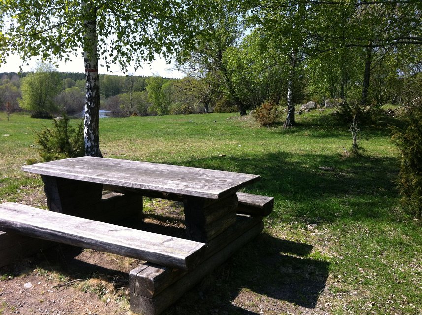 Ett bänkbord står på en plan gräsyta. I bakgrunden finns öppna gräsmarker och många träd.