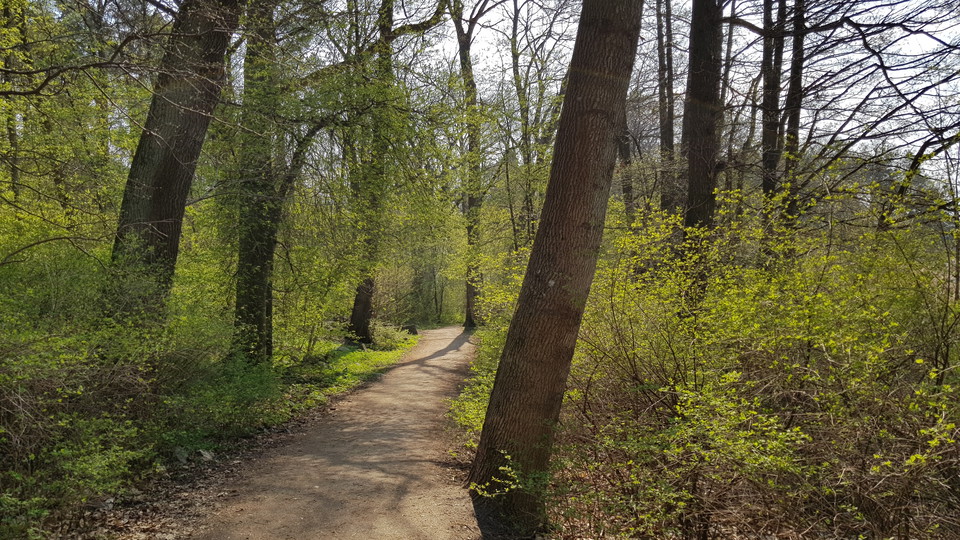Stig i Kappsta. Foto Lidingö stad