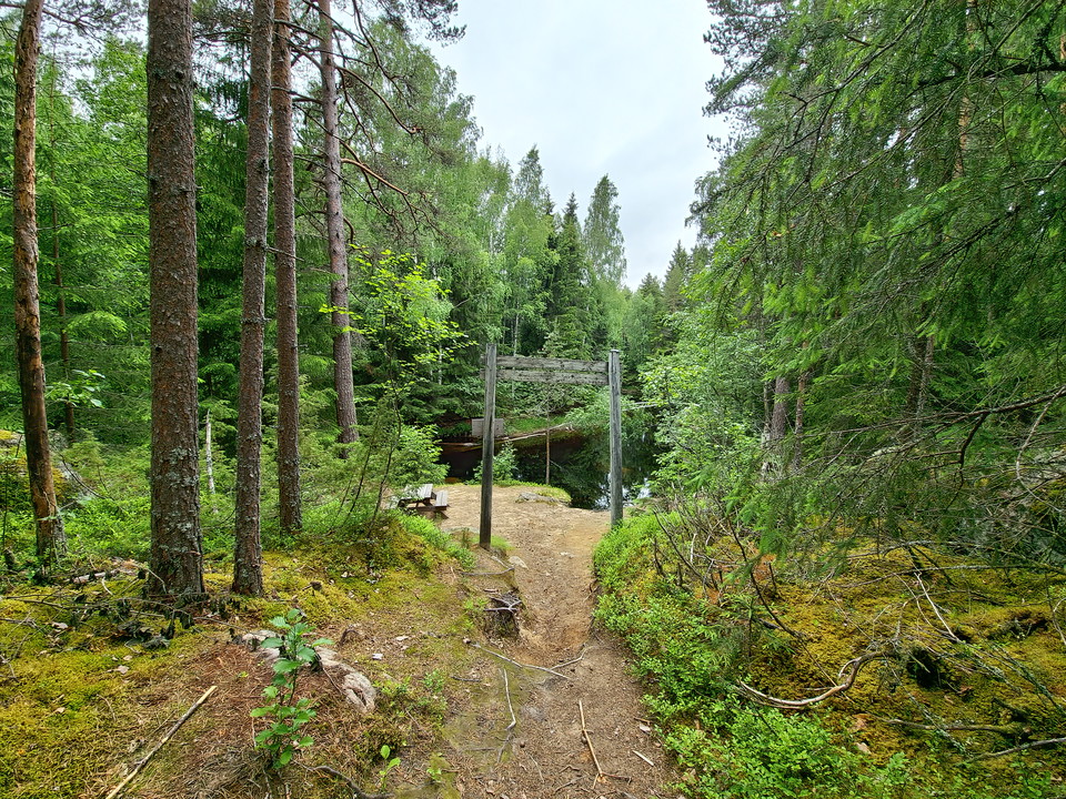 Foto: Khaled Zouroum 