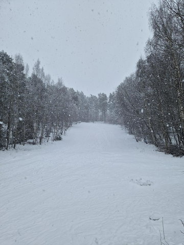 Pulkabacke, apotekskogen