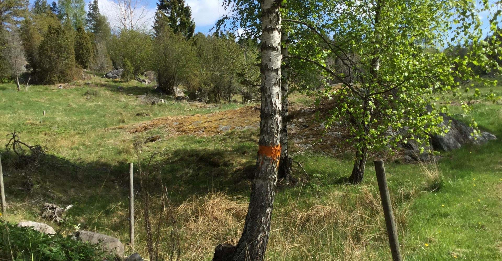Trasken runt
Söderköping