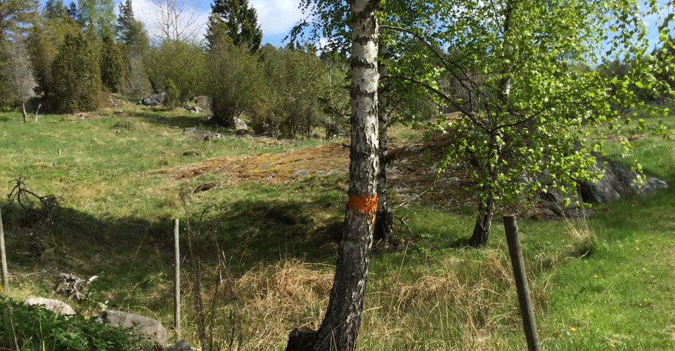 Trasken runt
Söderköping