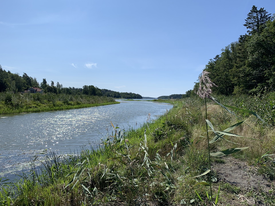 Rosenlundsskogens naturreservat.