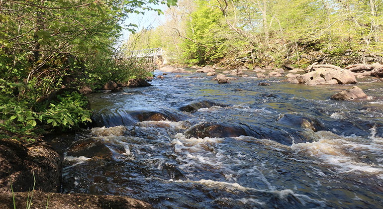 Helgeå.