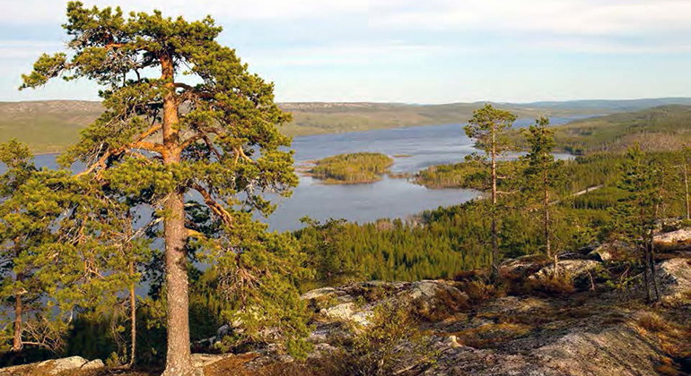 Från toppen av Malungsberget ser du ut över Kalixälven.