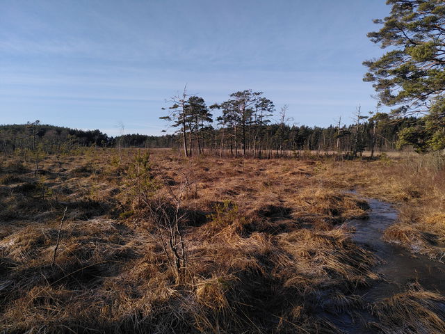 Stora Bötets Domänreservat, Naturreservat