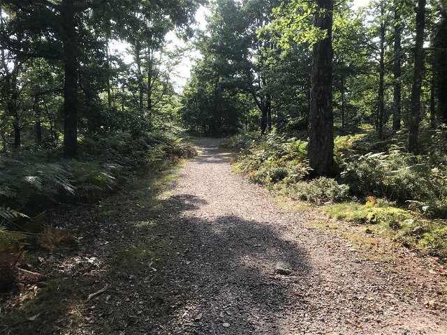 Walking path Näset