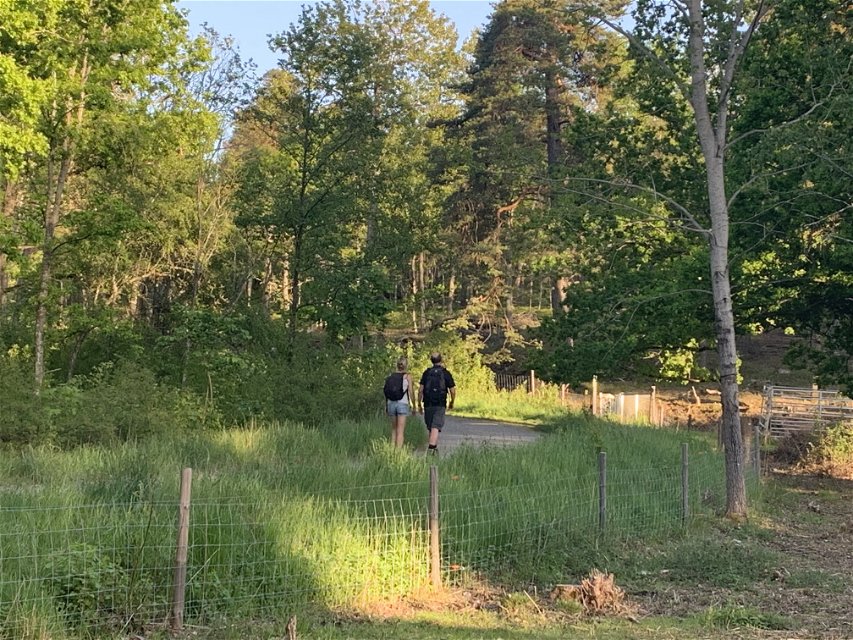 Leden går genom ett vackert landskap med fårhagar. Foto: Lena Malmström.