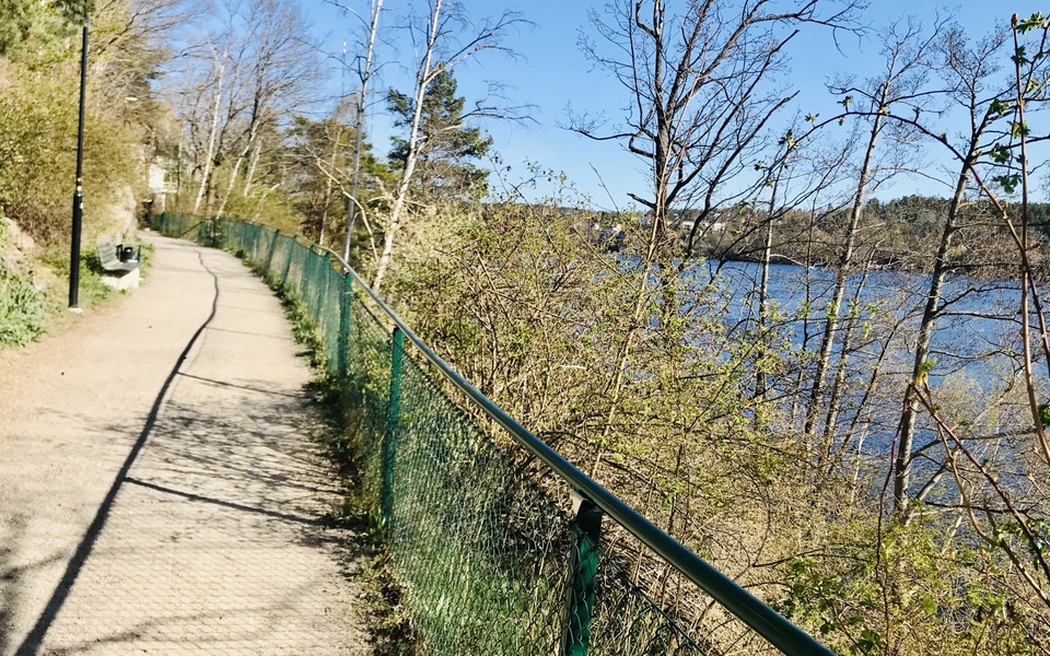 Foto: Sofia Lindgren