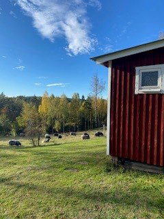 Tumbo Lodge, Malexander