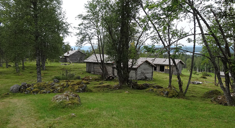 Abborrtjärnsberg, Naturreservat