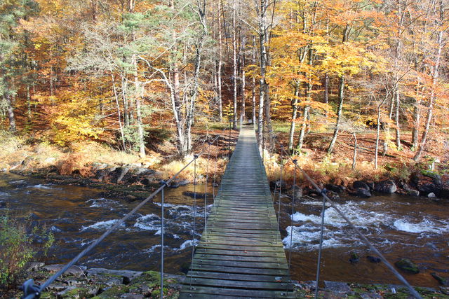 Hängbro Mörrumsån, Rosendala