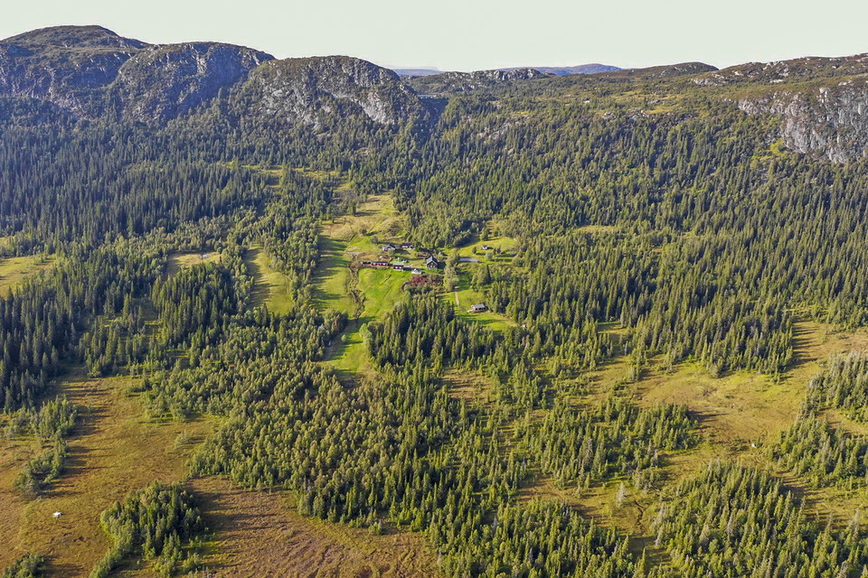 Vy över Almdalen.