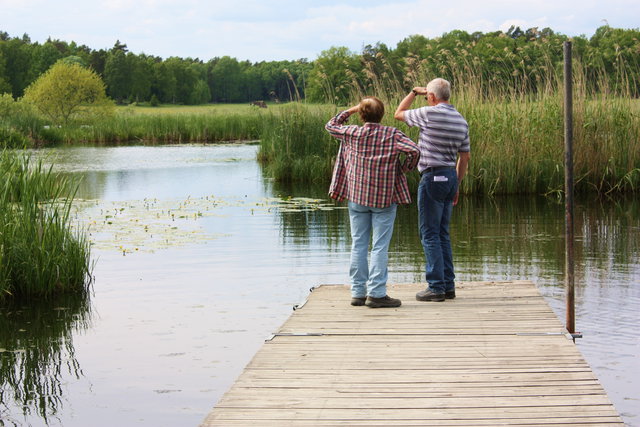 Smultronställe Dalkarlskärret