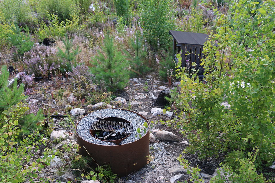 Rund grill och litet vedföråd bland stenar, brända stubbar och sly.