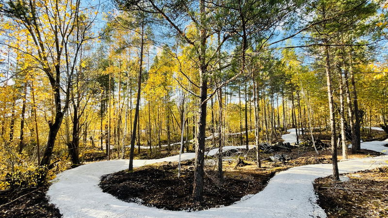 Sala - Strå Flowtrail MTB