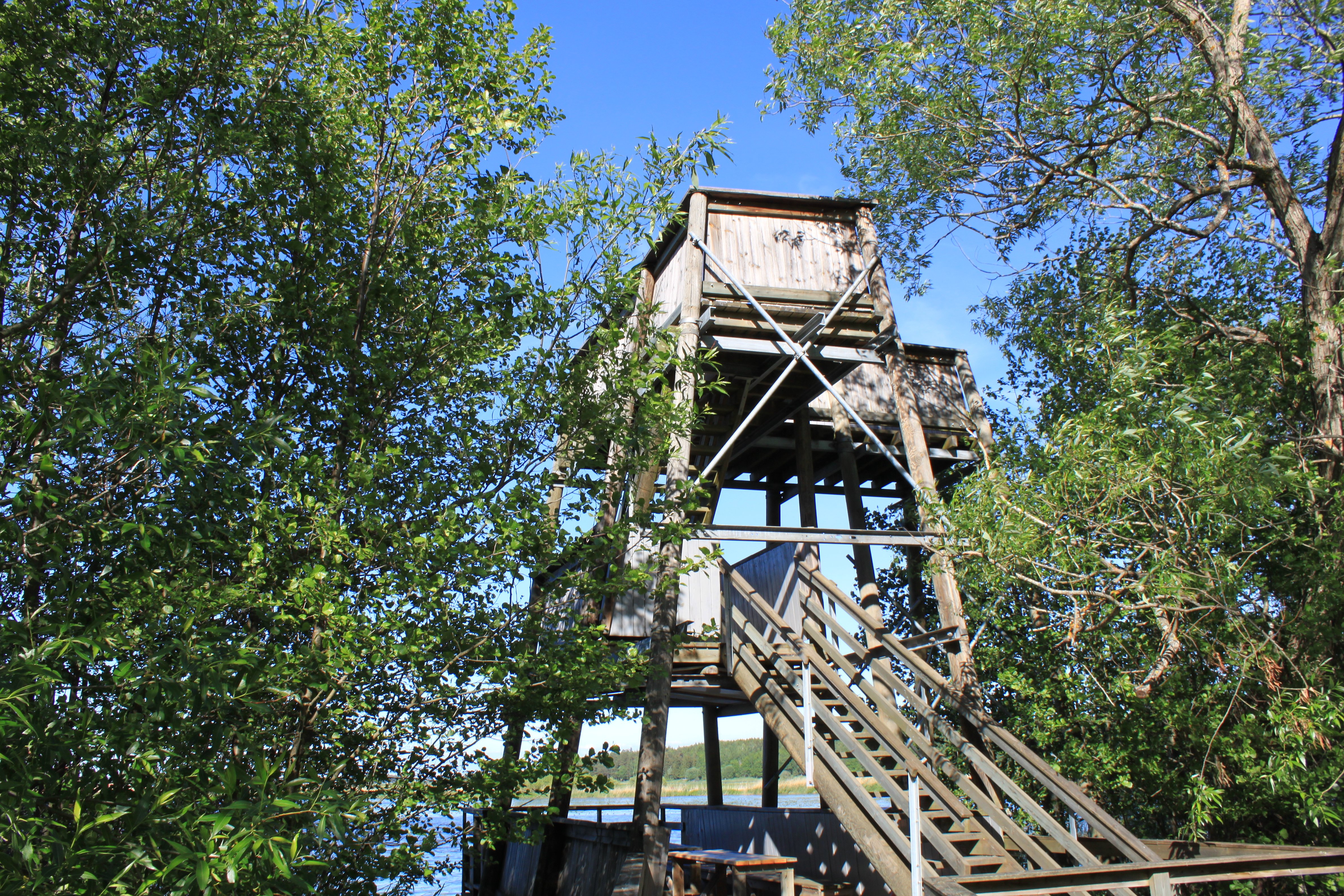 En bred spång med handräcken leder fram till ett fågeltorn vid Fyrisån. Fågeltornet har tre våningar och en trappa med handräcken går upp till andra våningen.