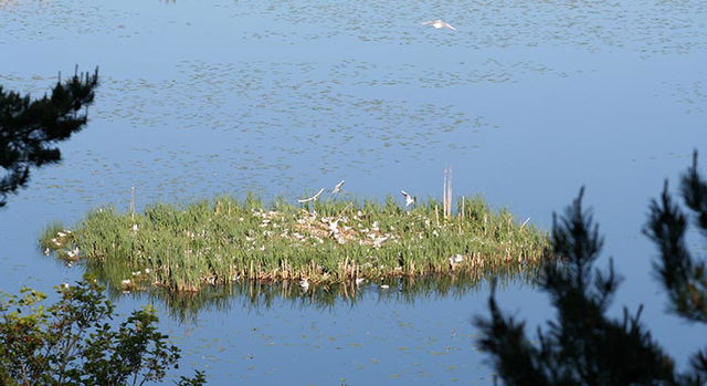 Fisksjön, Naturreservat