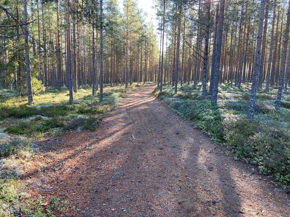 Bred stig längs Masteråsen