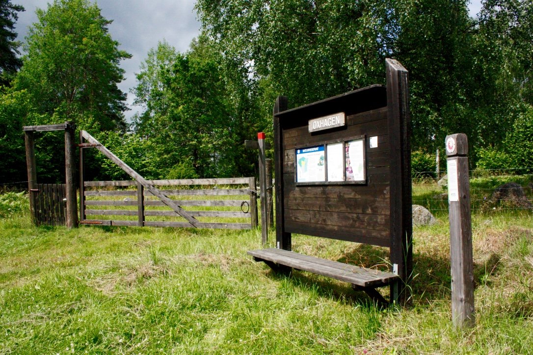 På en gräsyta står en informationsskylt med en bänk och en stolpe med markeringar bredvid. I bakgrunden står ett staket med en grind.