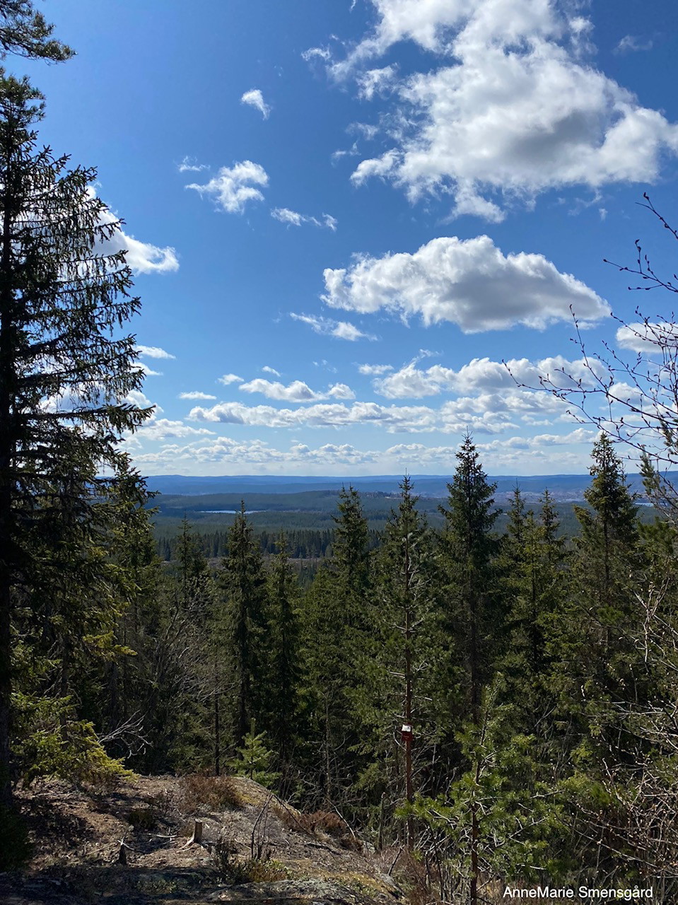 Utsikt från Bergsboflen
