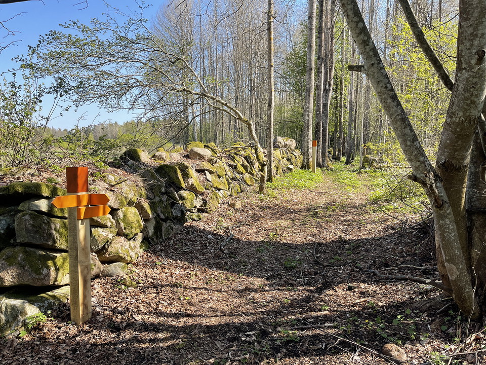 Orangea ledmarkeringar bredvid en stenmur.