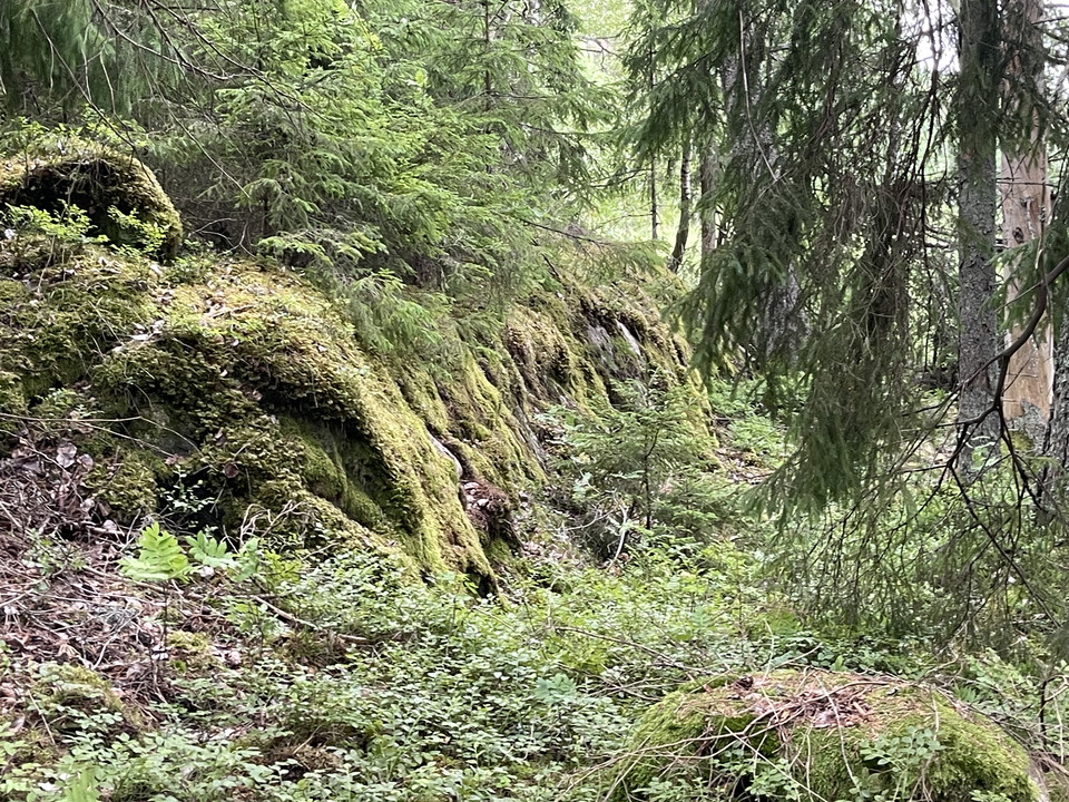 Mossklädda stenar.