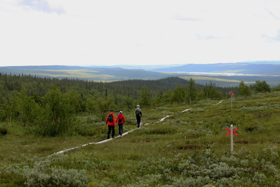 Mellan Kittelfjäll och Grönfjäll.