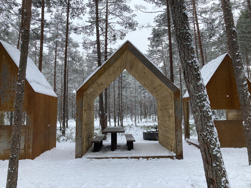 Tre vindskydd på en skogsvuxen mosse i vinterskrud
