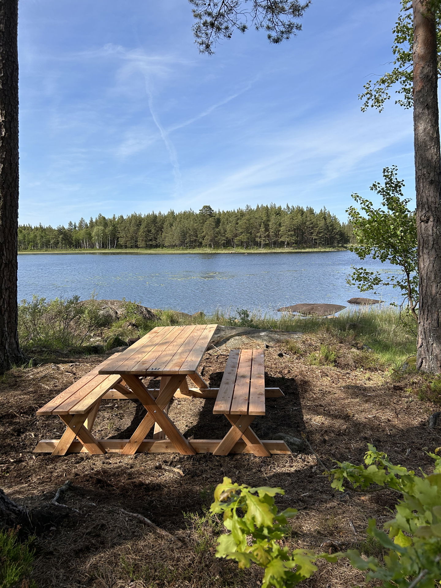 Bild: Sveaskog