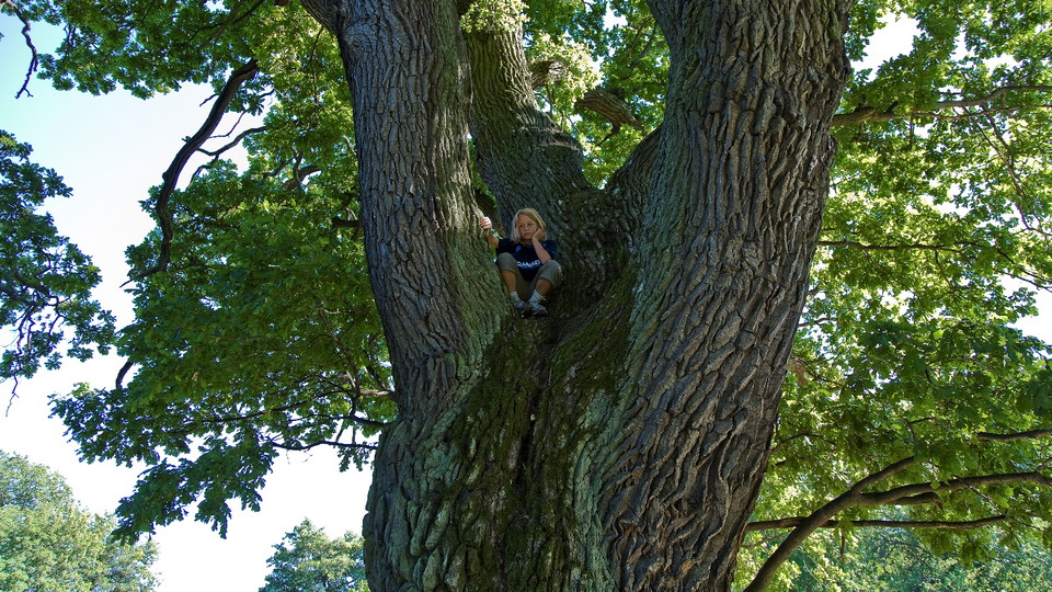 Klätterek vid Hustegaholm. Foto Felix Oppenheim