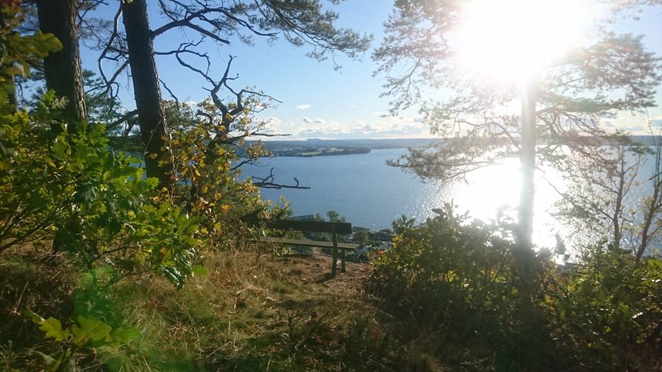Talludden är en undangömd pärla till utsikt