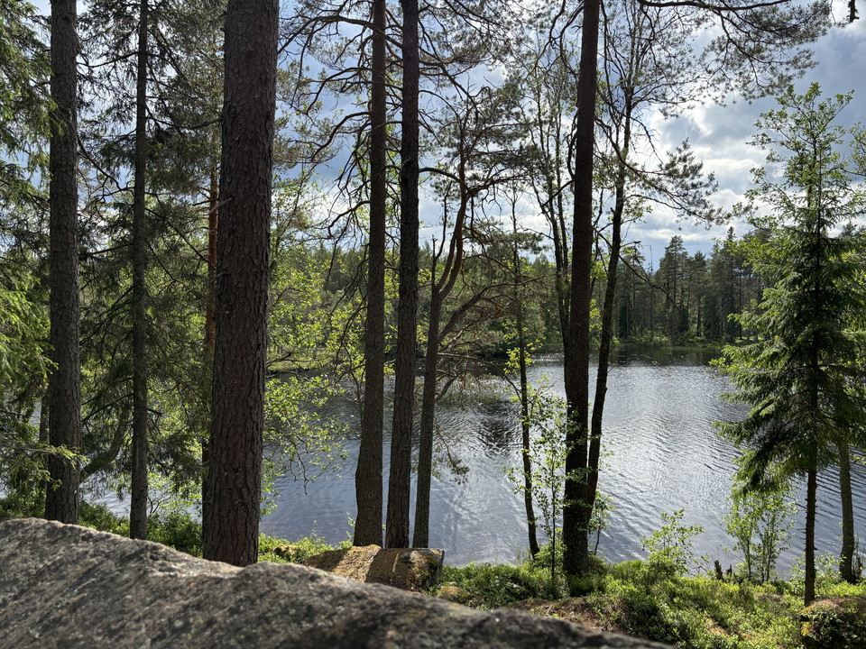 Vy över Långvattnet