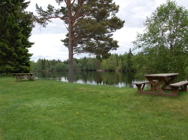 Strax innan forsens mäktiga ljud  finns bänkar i lugnare miljö. 