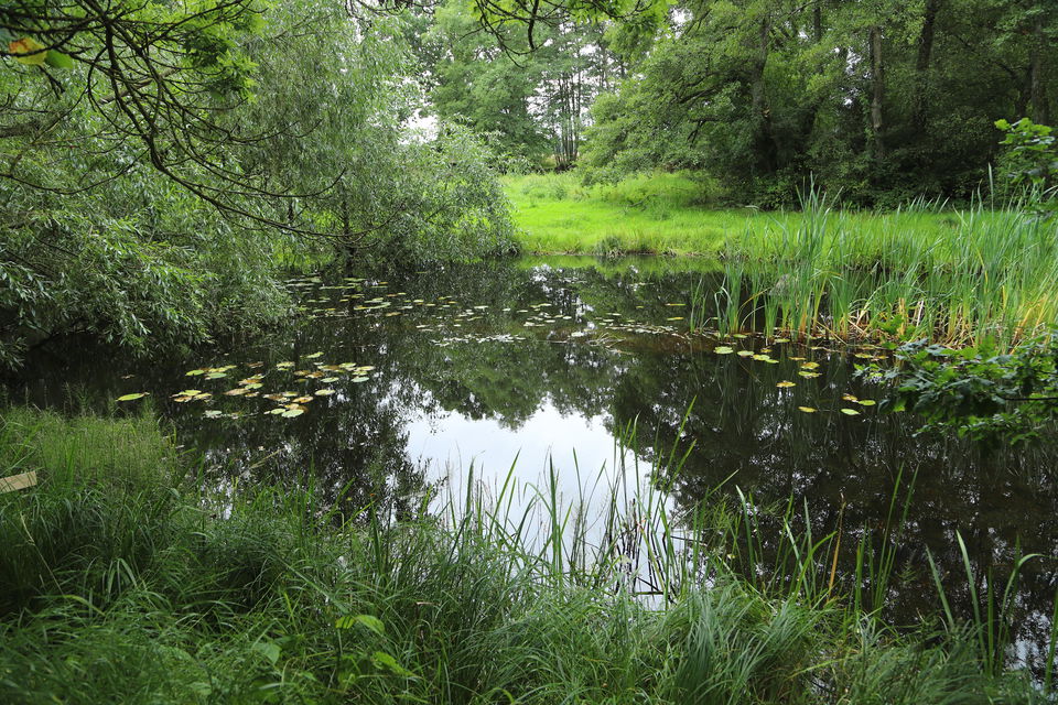 Hagbyån