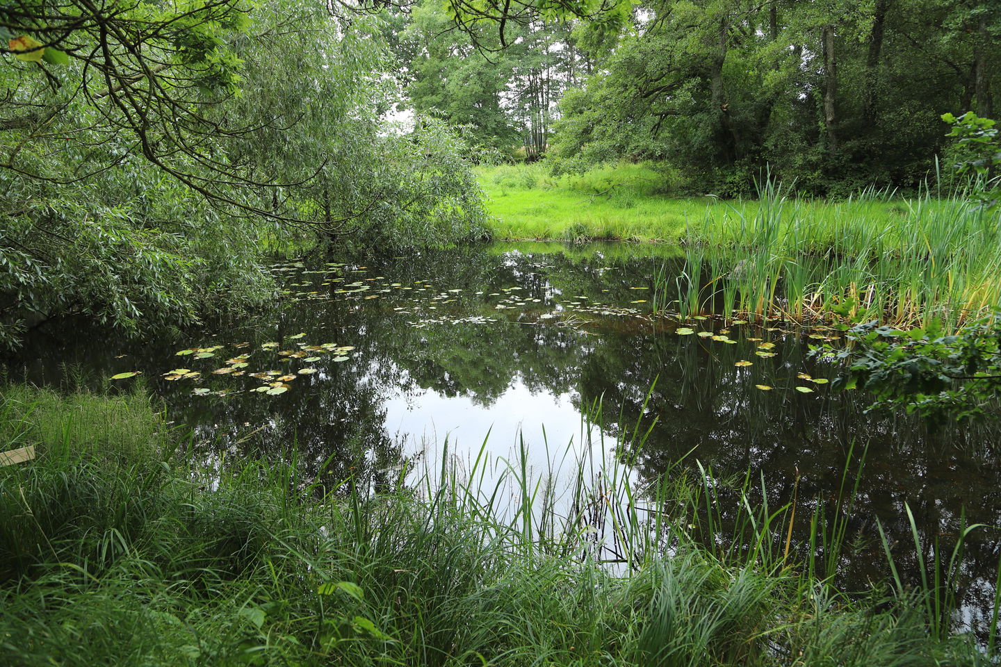 Hagbyån