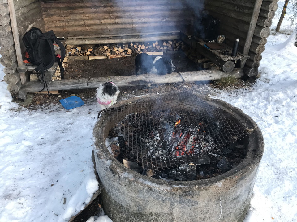 Grill vid Kalles-Koja