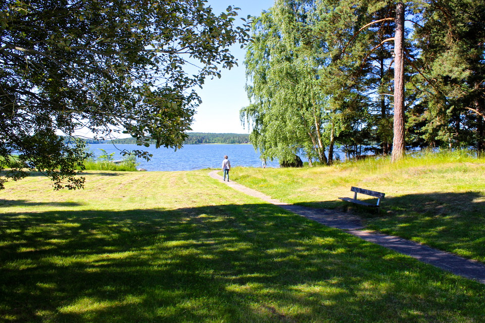 En person går på en smal grusstig ner till vattnet. Stigen går på en öppen gräsyta med träd i kanterna. 