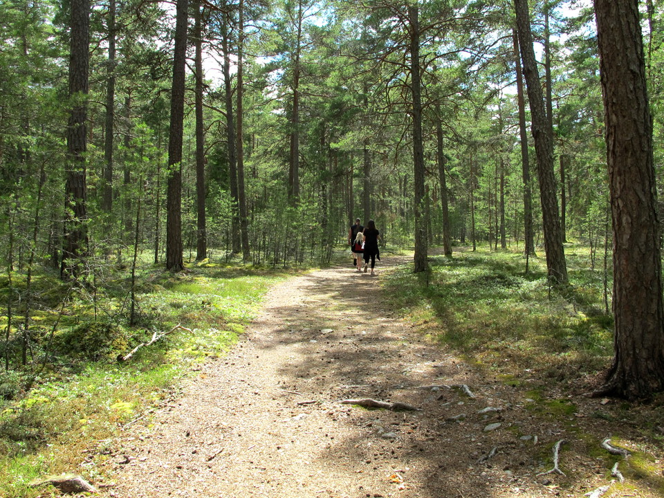 Lättrampade leder och stigar genomkorsar naturreservatet. 