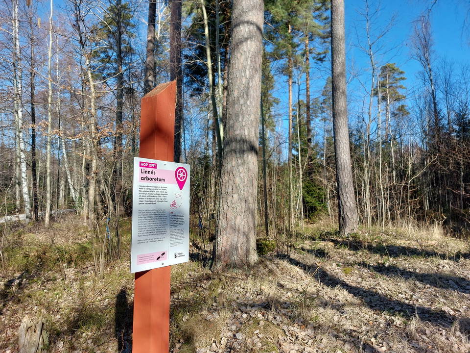 Hop off Växjö runt 2024