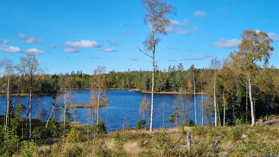 Sjö med öar i skogsomgivning.