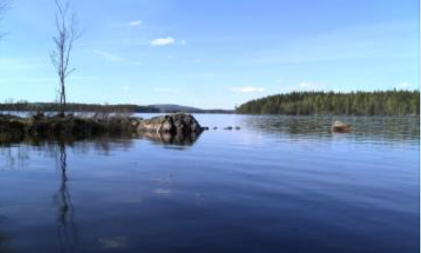 Surtjärn, naturreservat