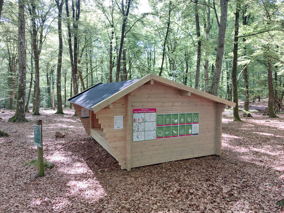 Inspiration till att lära in ute