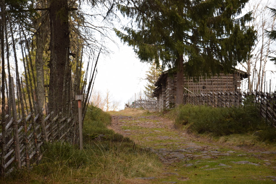 Siljansleden, Ärteråsens fäbod. Foto Bosse Bifrost